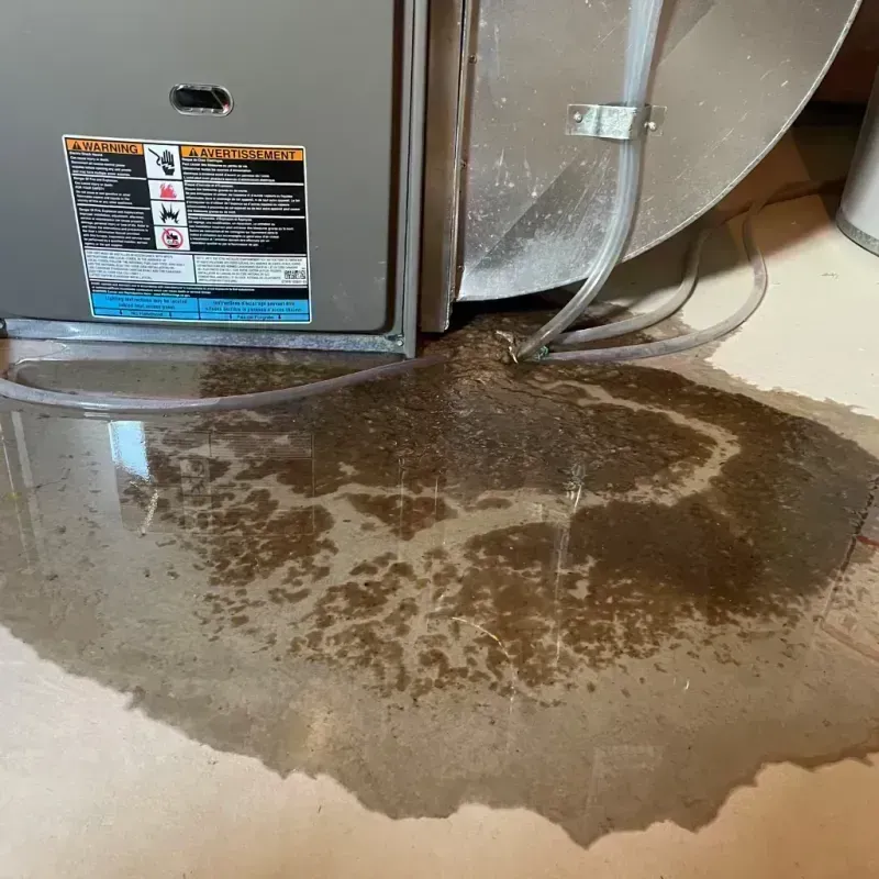 Appliance Leak Cleanup in Effingham County, IL